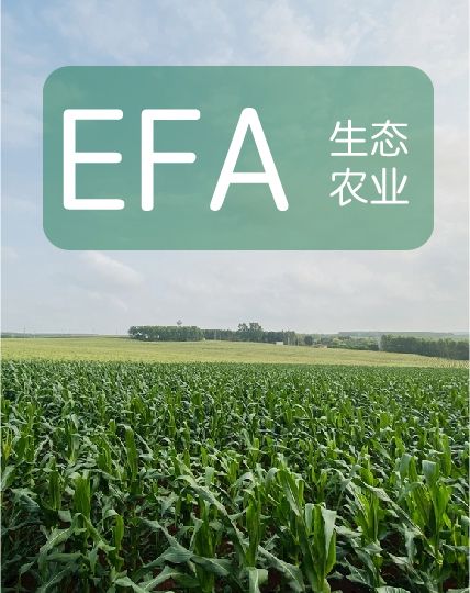 尊龙凯时人生就得博z6com·(中国)官网